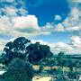 Dalwallinu - The Old Convent
