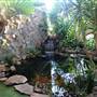 Wattle Grove