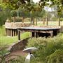 Vasse Felix Vineyard
