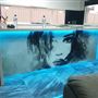 Yanchep - House