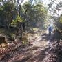 Lane Poole Reserve Dwellingup