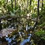 El Questro - Zebedee Springs