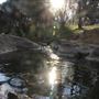 Nangip Creek