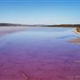 Pink Lake - Hutt Lagoon