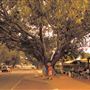 Dongara - Port Denison