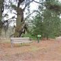 Darkan to Collie Rail Trail