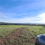 Craigendarroch, Porongurup