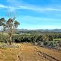 Craigendarroch, Porongurup