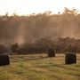 Dwellingup