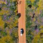Coleseam Conservation