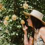 Rose Garden at Edenvale Homestead
