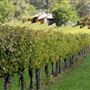 Bickley-Carmel Valley