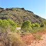 Shothole Canyon