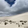 Lancelin