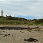 Jarman Island