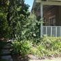 52 Irwin Street