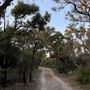 Conto Beach and Campground