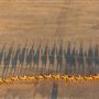 Broome - Cable Beach