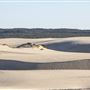 Yeagarup Sand Dunes