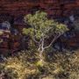 Karijini National Park - Weano Gorge