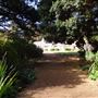 Albany - Strawberry Hill Farm