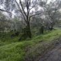 Banyowla Regional Park