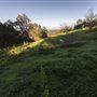 Banyowla Regional Park