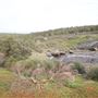 John Forrest National Park