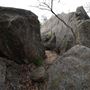 John Forrest National Park