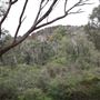 Wungong Regional Park