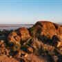 Wheatbelt Region