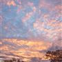 Wheatbelt Region