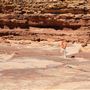 Kalbarri - Pot Alley Beach