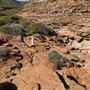Kalbarri - Pot Alley Beach