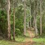 Pemberton - Warren National Park