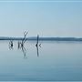 Dumbleyung Lake