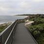 Surfers Point