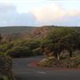 Cape Naturaliste - Sugar Loaf