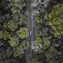 Boranup Karri Forest Margaret River