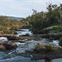 Wellington National Park