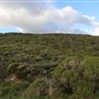 Yallingup - Rabbit Hill