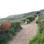 Yallingup - Rabbit Hill