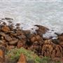 Yallingup - Torpedo Rock