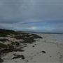 Hangover Bay