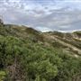 Claytons Beach