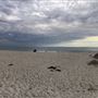 Claytons Beach