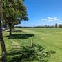 Langley Park