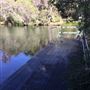 Bickley Outdoor Recreation Camp