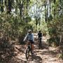 Lane Poole Reserve Dwellingup