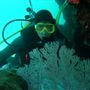 Houtman Abrolhos Islands